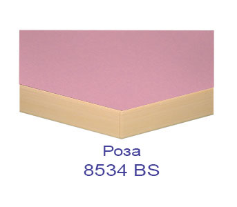 roza 8534 BS