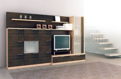 ГОСТИНАЯ КОМНАТА ТАНУКИ (КОМПОЗИЦИЯ 6)